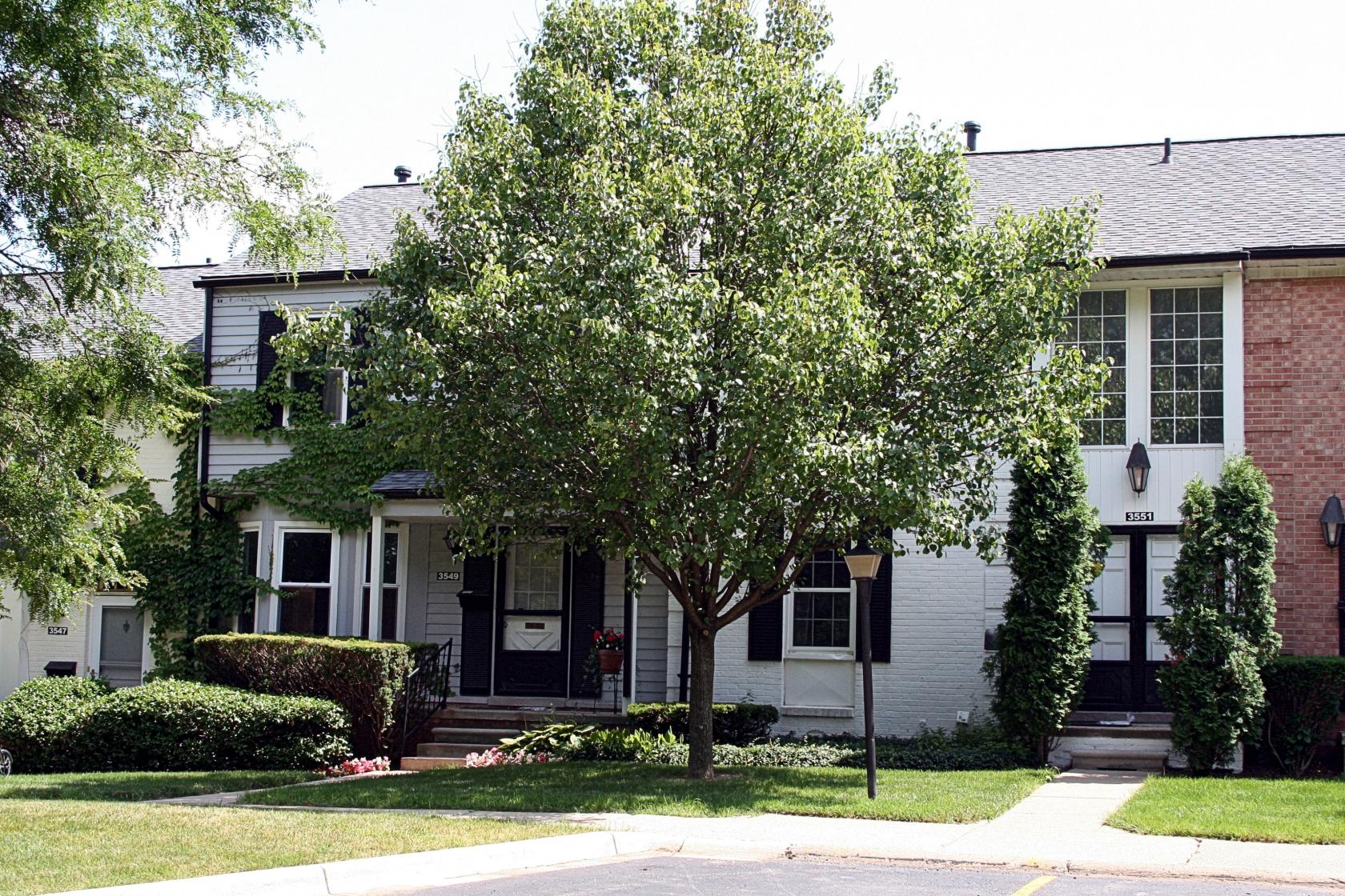 Chapel Hill Condos, Ann Arbor MI 48105 Condo Hotline Condo Hotline