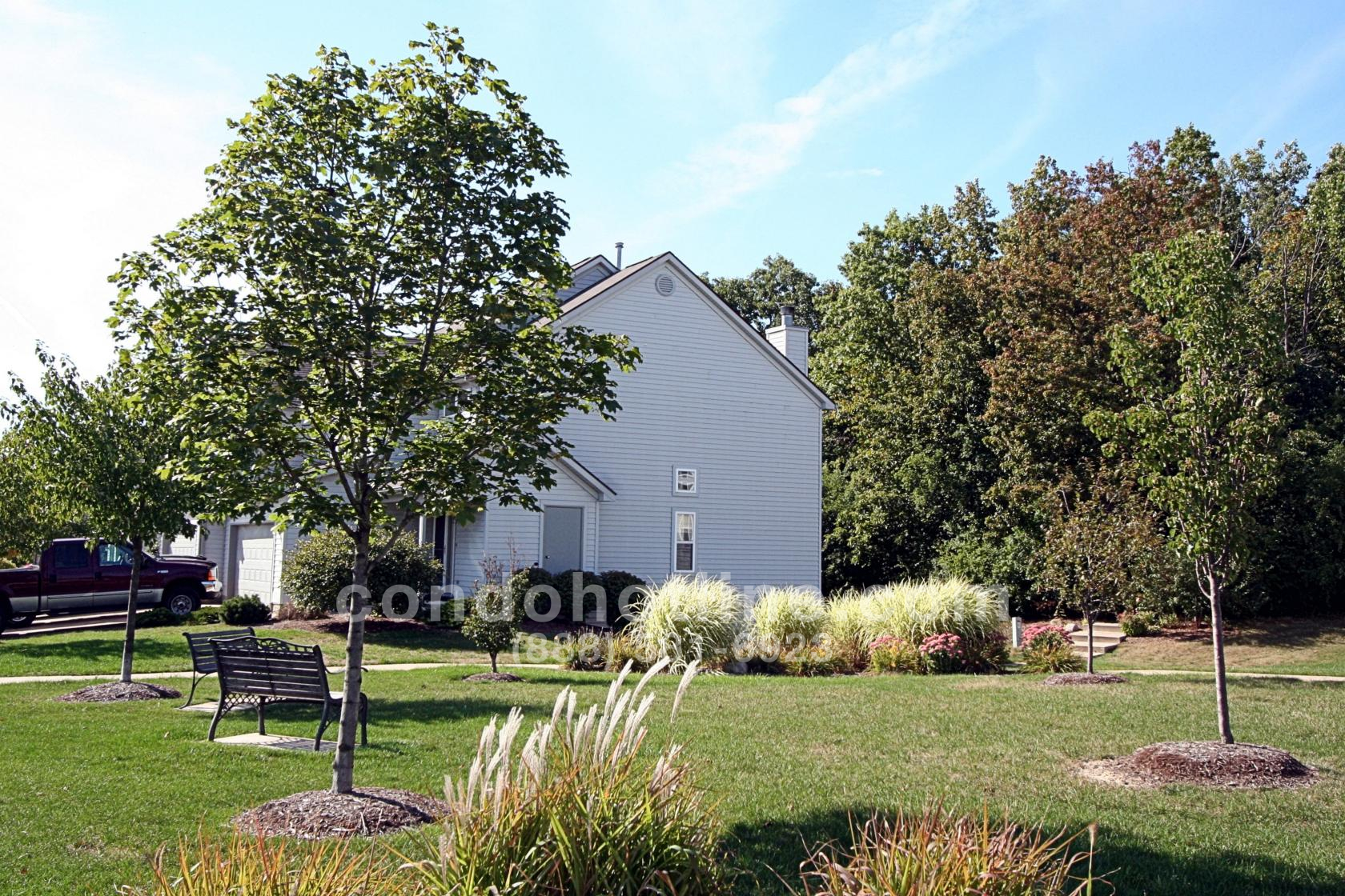 Meadow Grove Condo Hotline Condo Hotline