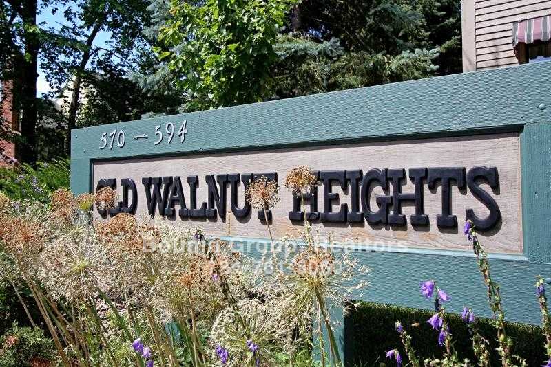 Old Walnut Heights Condo - Ann Arbor