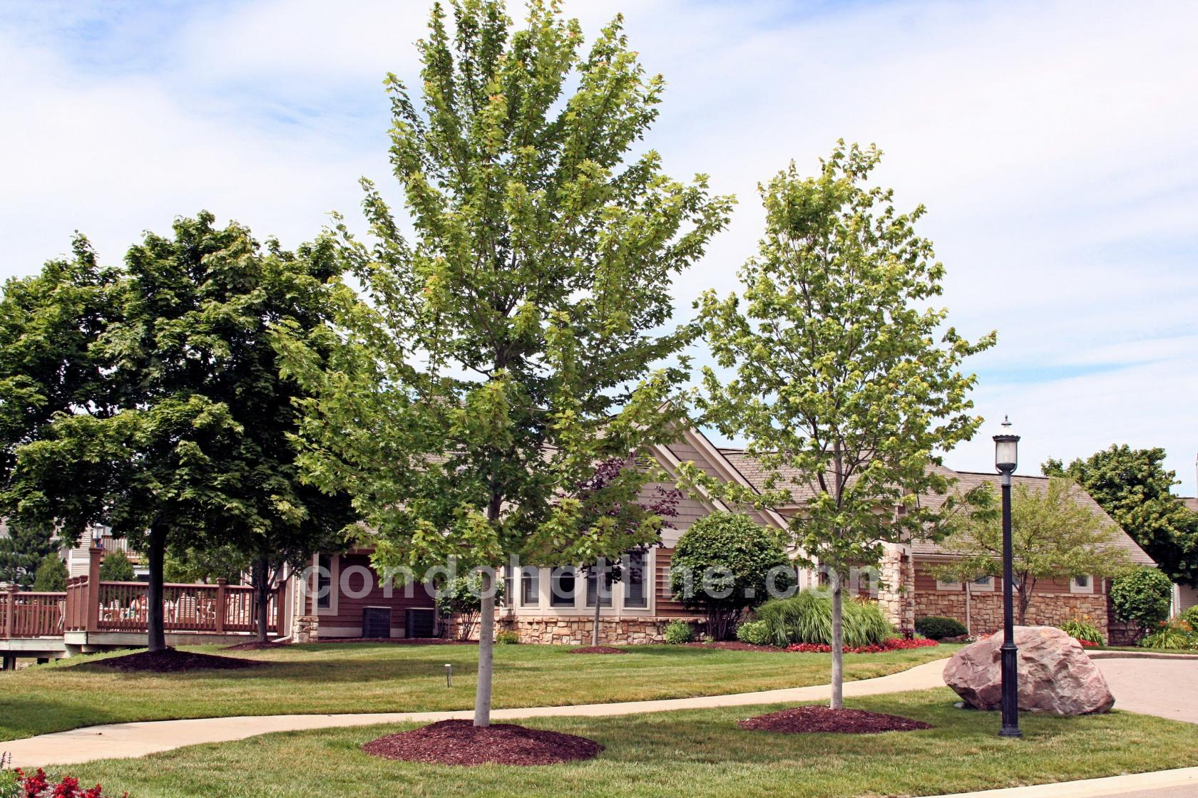 Weatherstone Condos, Ann Arbor MI 48108 Condo Hotline Condo Hotline