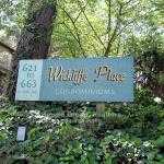 Wickliffe Place Condo