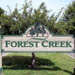 Forest Creek Condo