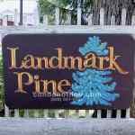 Landmark Pine Condo