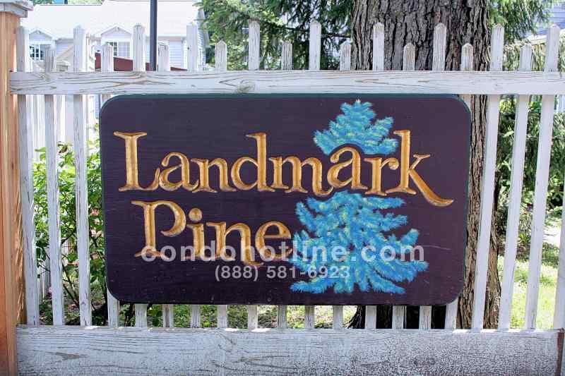 Landmark Pine Condo - Ann Arbor