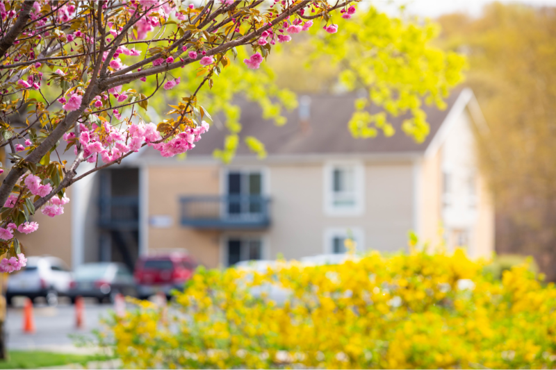 Ann Arbor Condos in Spring